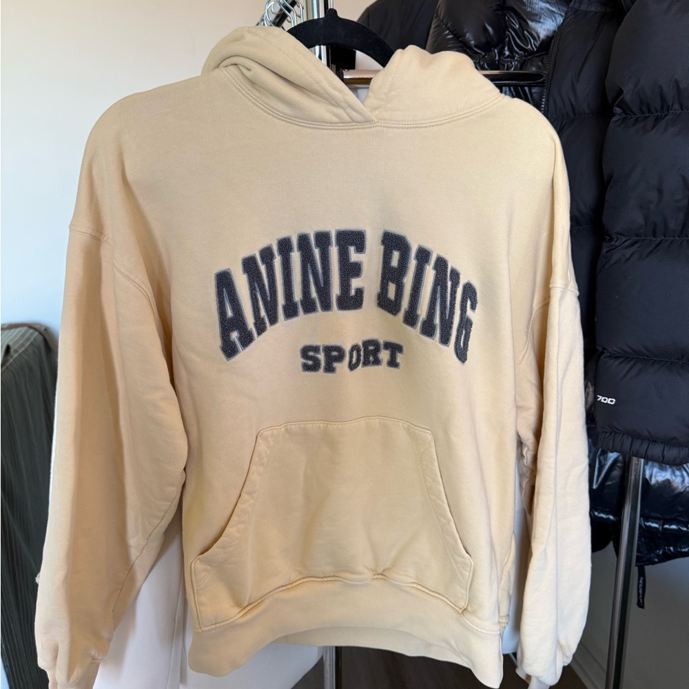 Anine Bing Harvey hoodie